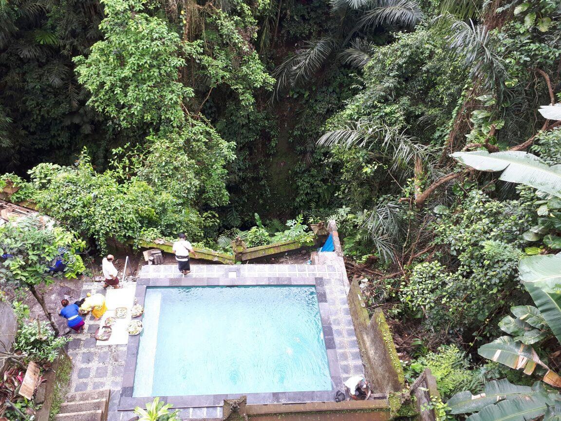 Anggrek Mas Bed & Breakfast Hostel Ubud Buitenkant foto