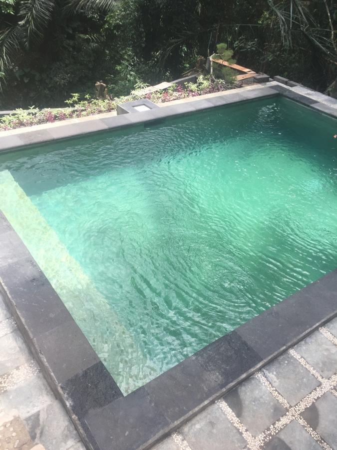 Anggrek Mas Bed & Breakfast Hostel Ubud Buitenkant foto